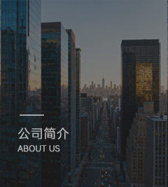 公司簡介